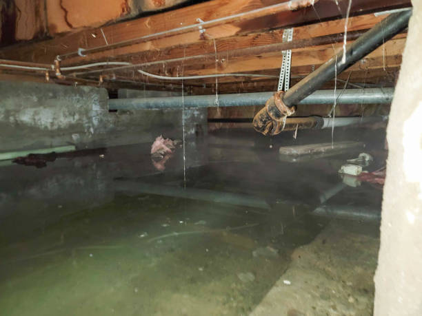 Best Fire Damage Restoration  in Kana, UT