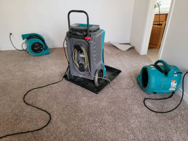 Best 24-hour water damage restoration  in Kana, UT