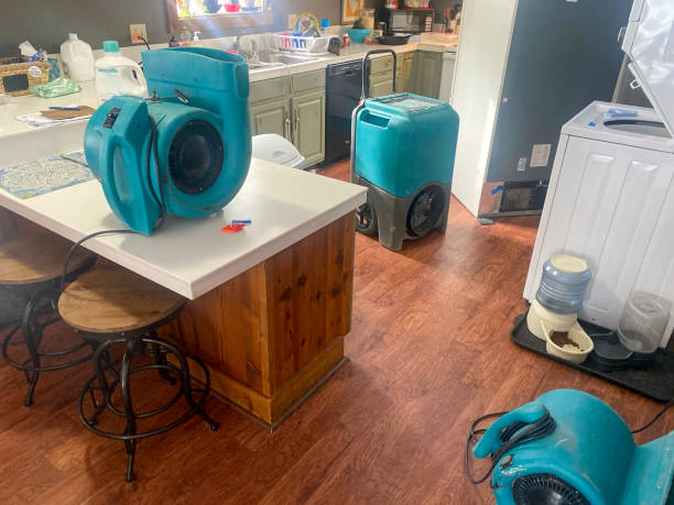  Kana, UT Water damage restoration Pros