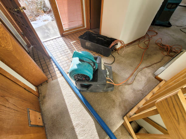 Best Flooded house restoration  in Kana, UT