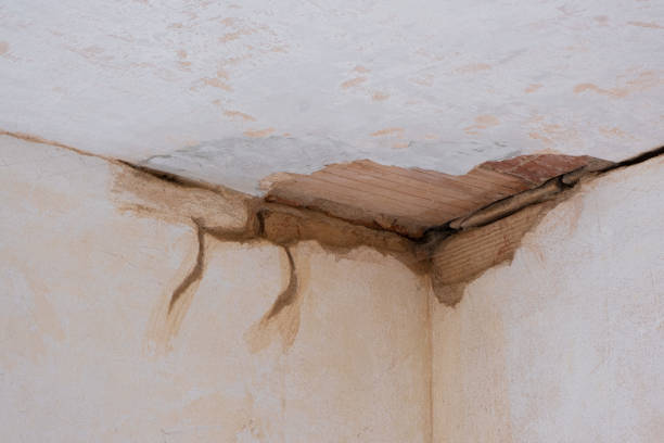 Best Mold removal after water damage  in Kana, UT
