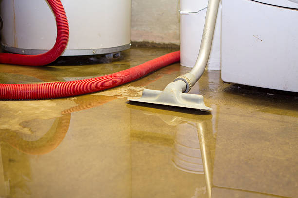 Best Flood restoration services  in Kana, UT