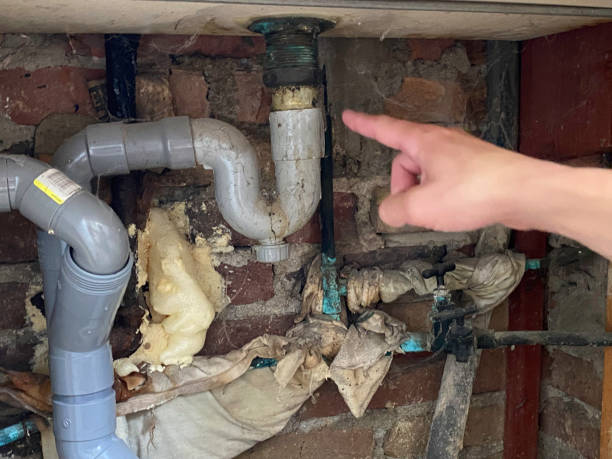 Best Basement water damage restoration  in Kana, UT