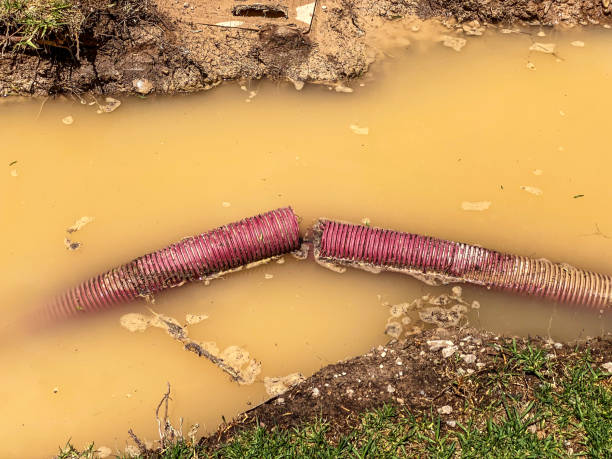 Best Water damage restoration near me  in Kana, UT