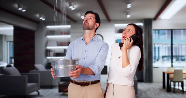 Best Water damage restoration near me  in Kana, UT
